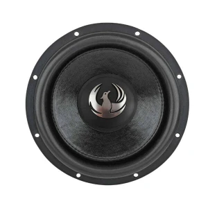 Močan subwoofer Phoenix Gold ZP12D2 za avtozvočnike in globok bass.